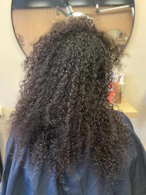 Before — Ultra frizzy and coarse hair
